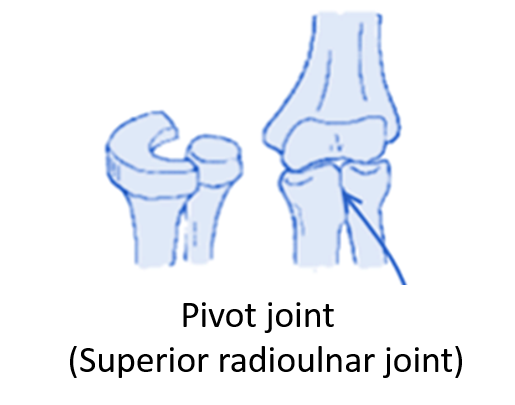 Pivot joint